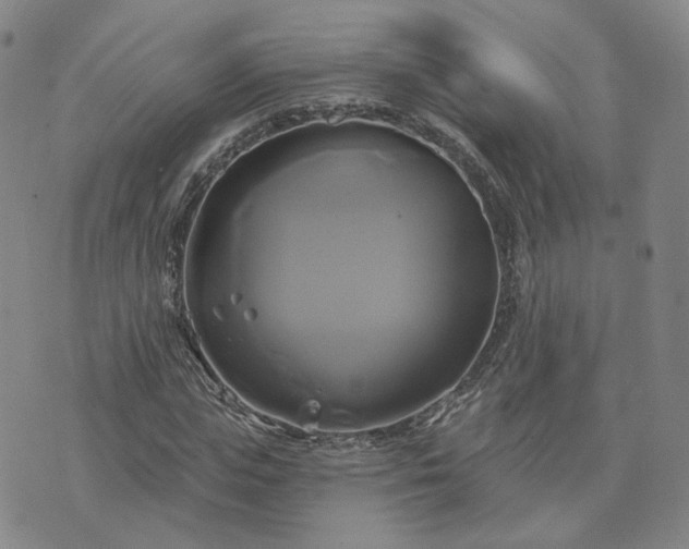 X0000076380823200610161113