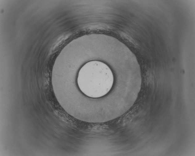 X0000076380824200610161113