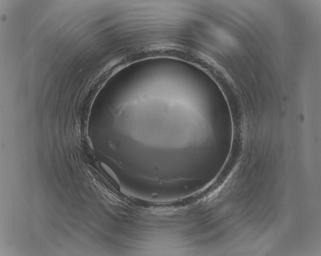 X0000076380825200610161113