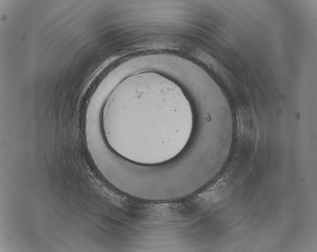 X0000076380828200610161113