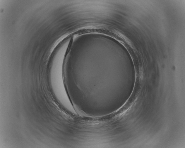 X0000076380829200610161113