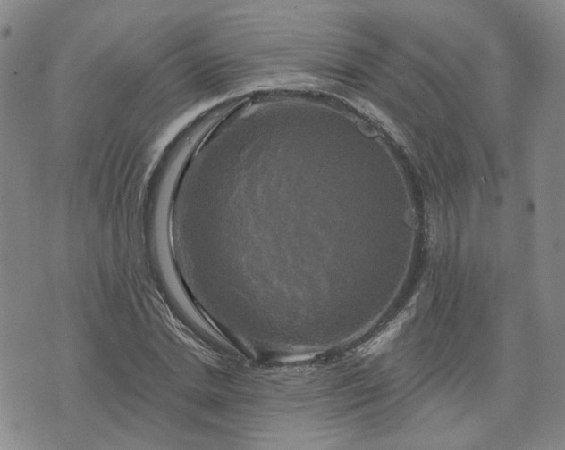 X0000076380830200610161113