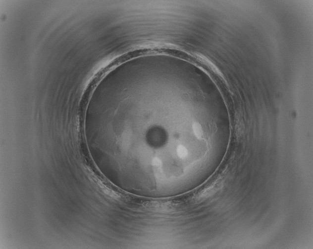 X0000076380831200610161113