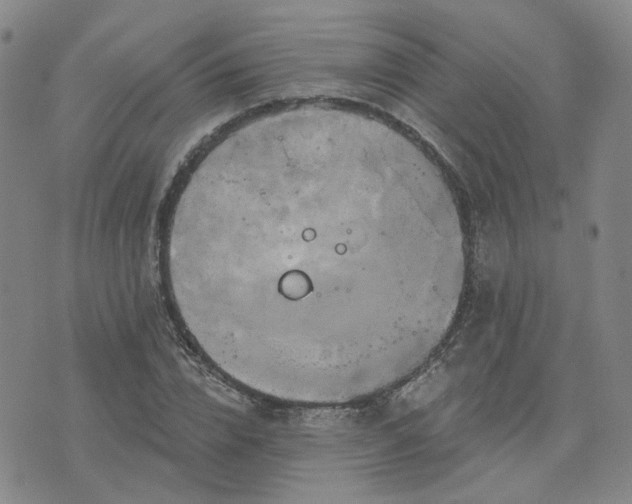 X0000076380832200610161113