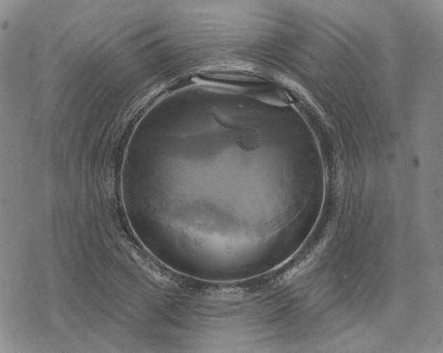 X0000076380833200610161113