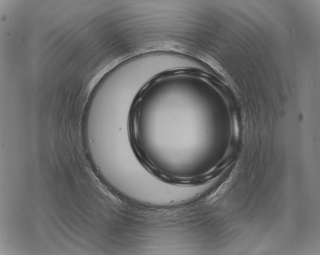 X0000076380834200610161113