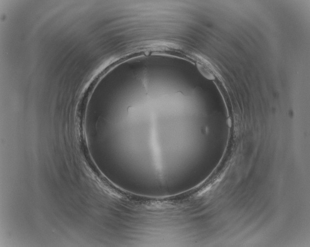 X0000076380835200610161113