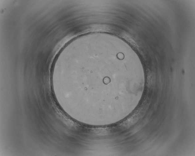 X0000076380836200610161113