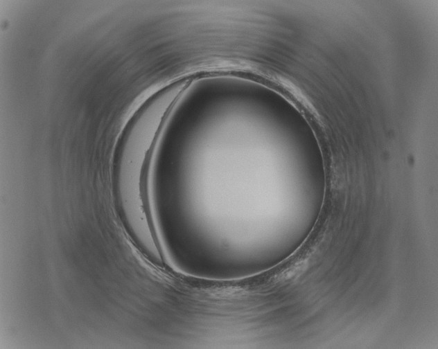 X0000076380837200610161113