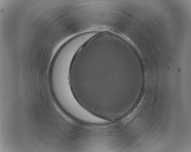 X0000076380838200610161113