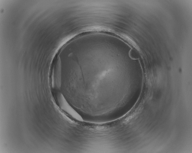 X0000076380839200610161113