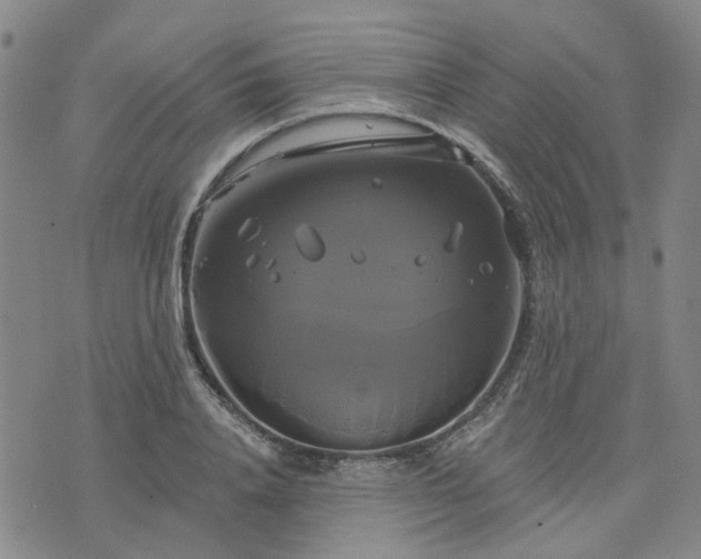 X0000076380840200610161113