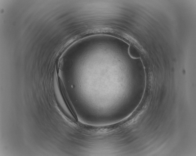 X0000076380841200610161113