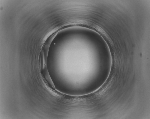 X0000076380842200610161113