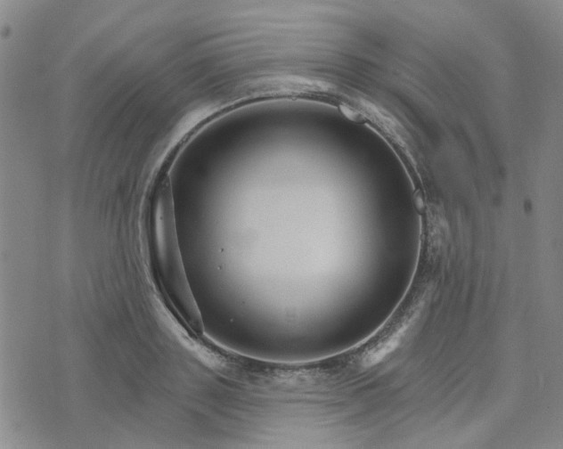 X0000076380843200610161113