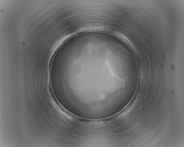 X0000076380844200610161113