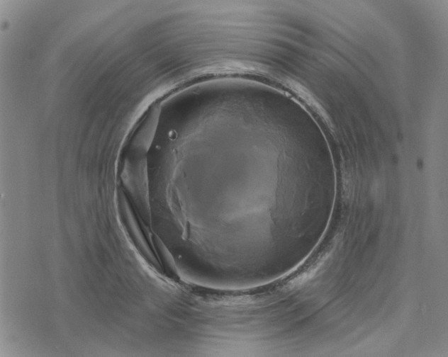 X0000076380845200610161113