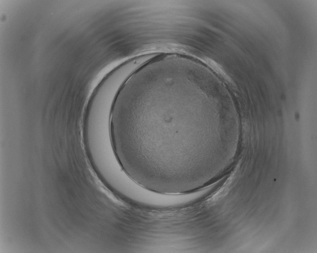 X0000076380846200610161113