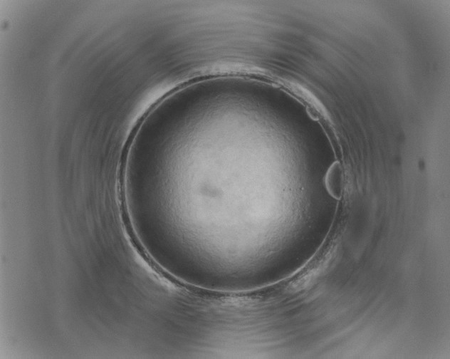 X0000076380847200610161113