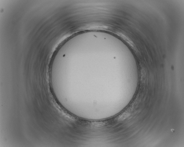 X0000076380848200610161113