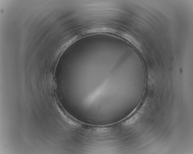 X0000076380849200610161113