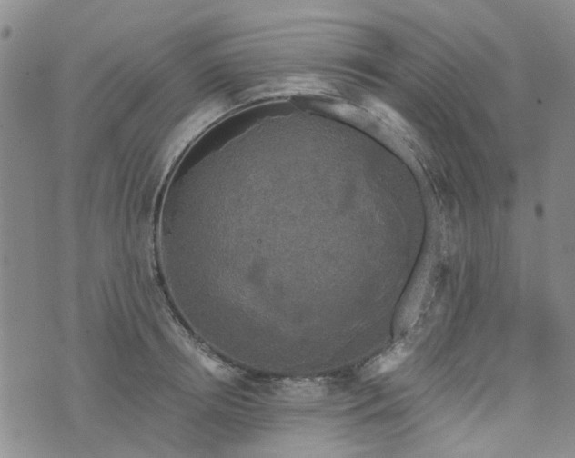 X0000076380850200610161113