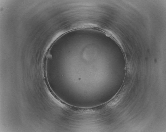 X0000076380851200610161113