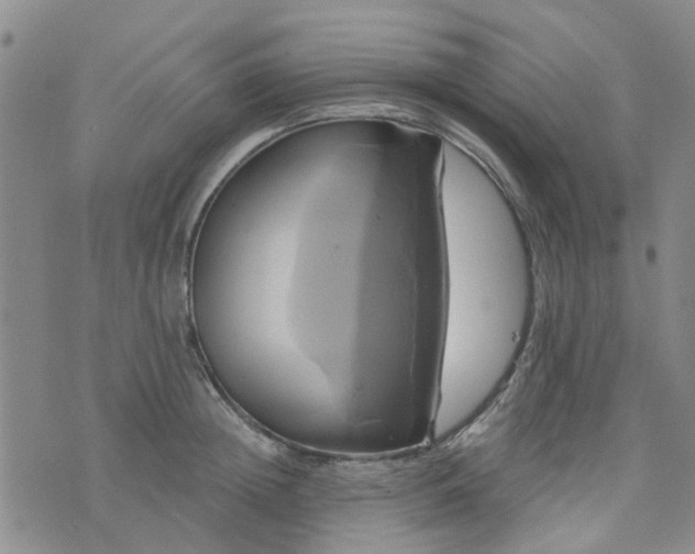 X0000076380852200610161113