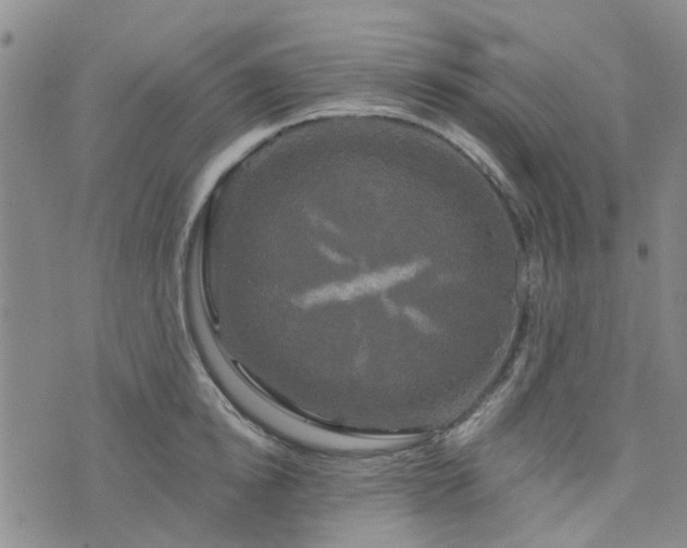 X0000076380854200610161113