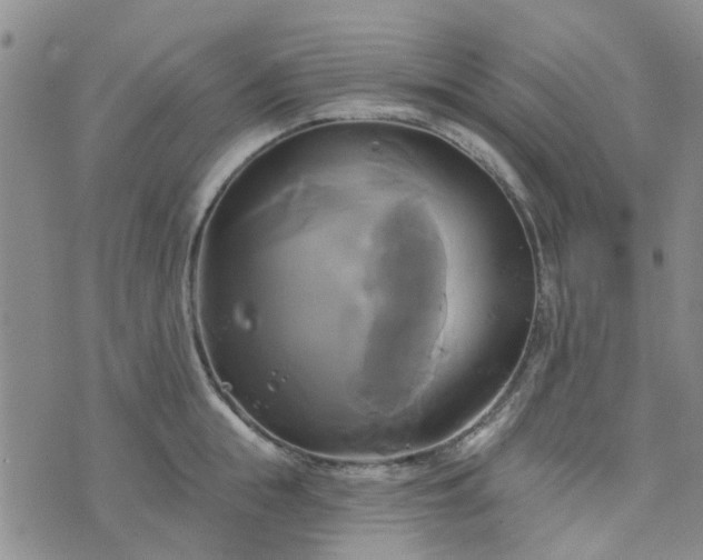 X0000076380855200610161113