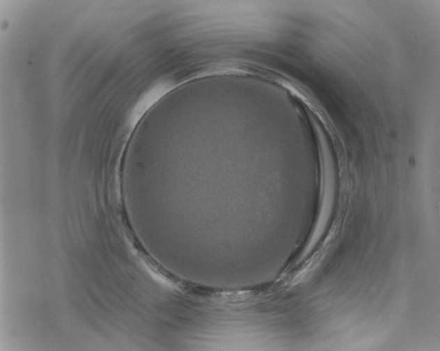 X0000076380858200610161113