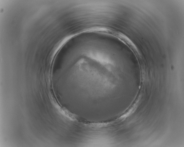 X0000076380860200610161113