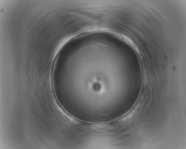 X0000076380863200610161113