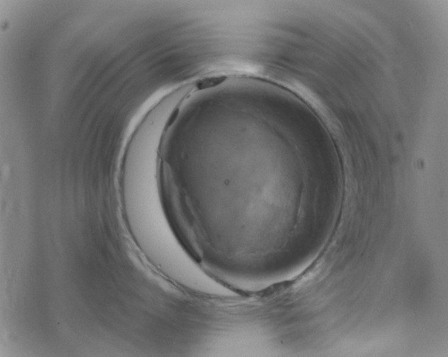 X0000076380864200610161113