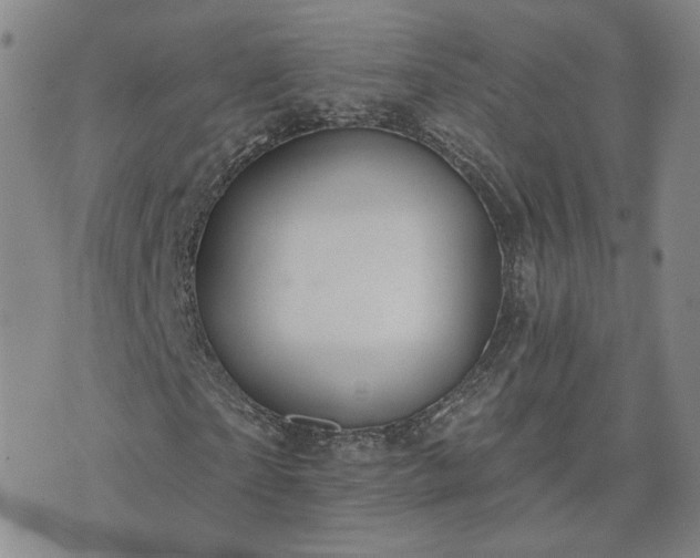 X0000076380865200610161112