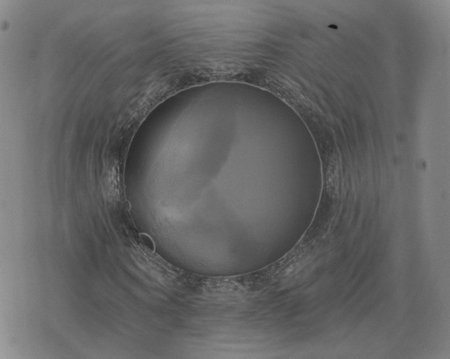 X0000076380866200610161112