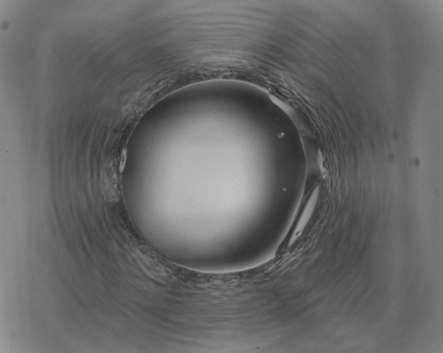 X0000076380868200610161112