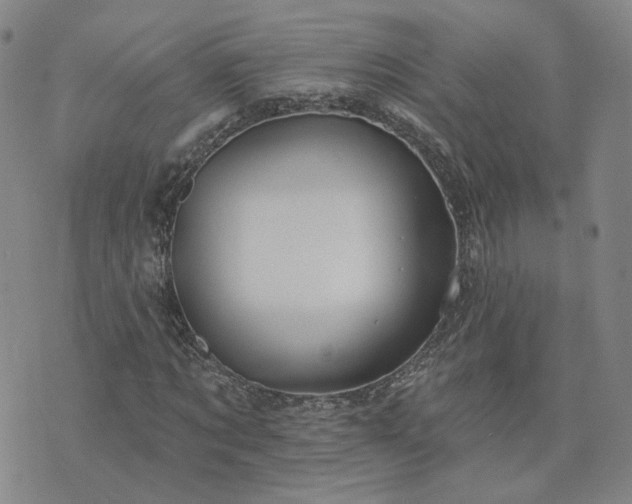 X0000076380869200610161112