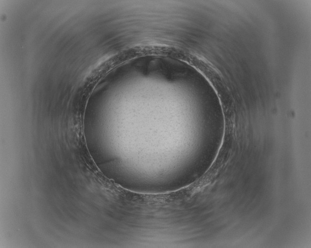 X0000076380870200610161112