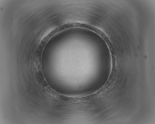 X0000076380871200610161112