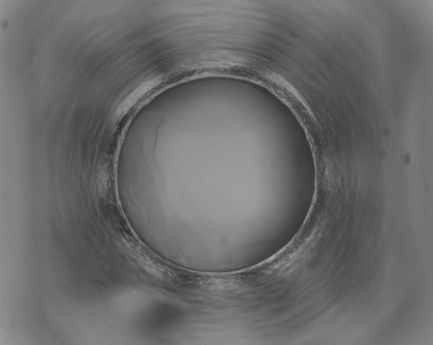 X0000076380874200610161112