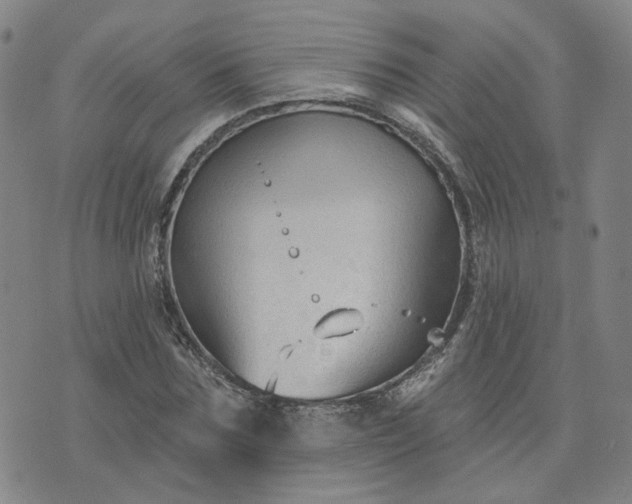 X0000076380875200610161112