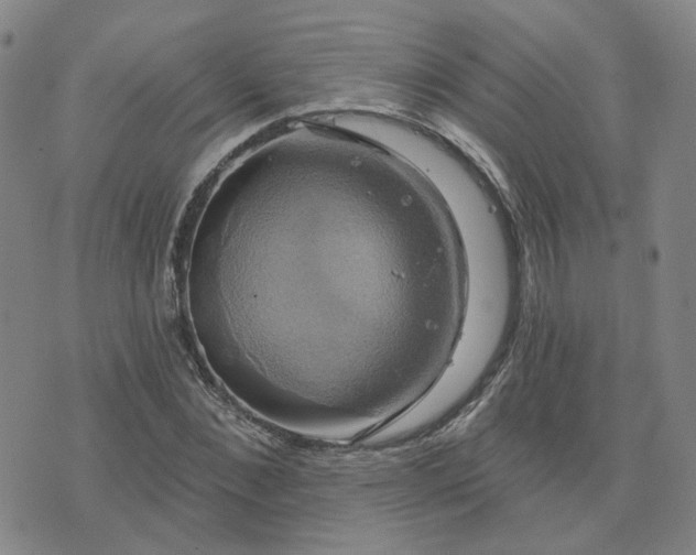 X0000076380876200610161112