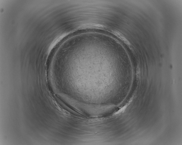 X0000076380877200610161112