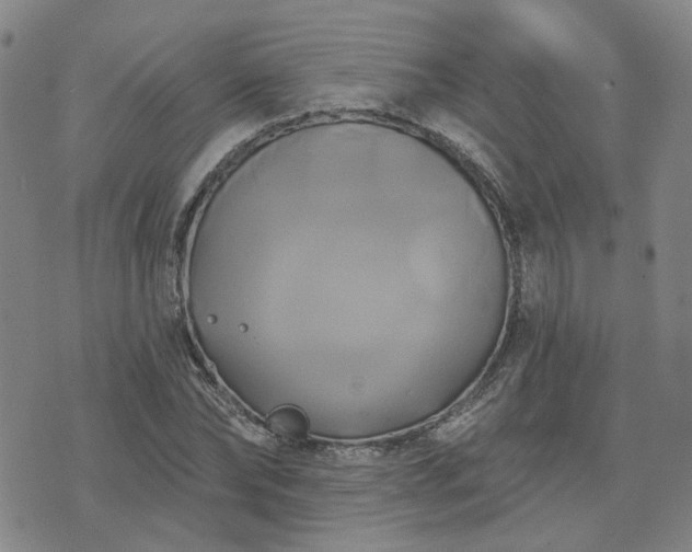 X0000076380878200610161112