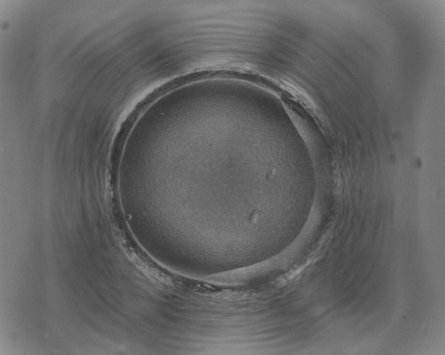 X0000076380880200610161112