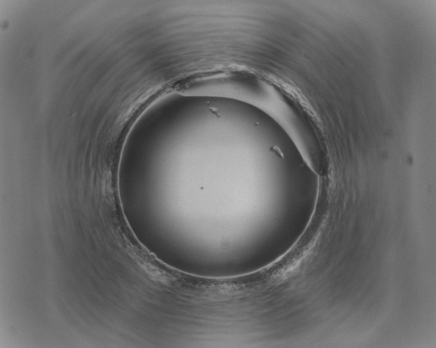 X0000076380881200610161112