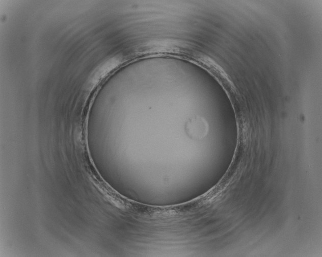 X0000076380882200610161112