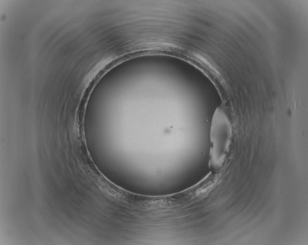 X0000076380883200610161112