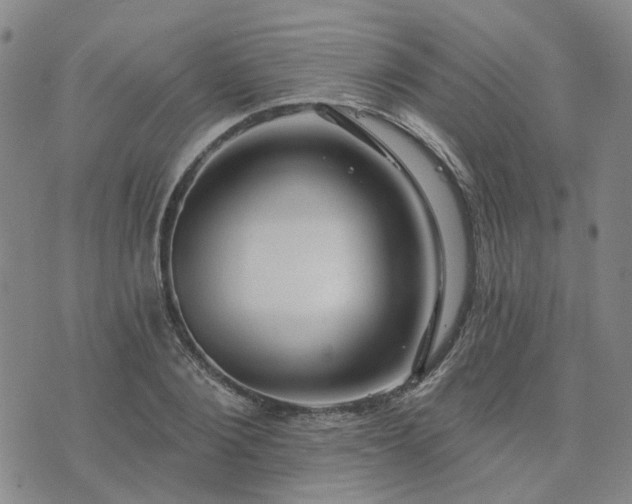 X0000076380884200610161112